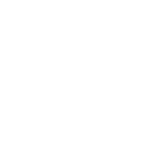 Logo_27.08.2025_white